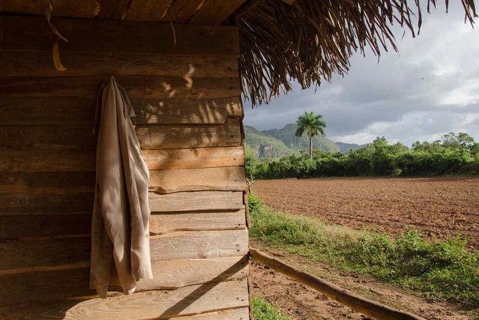 travel of photography to cuba , countryside in vinales, province of pinar del rio