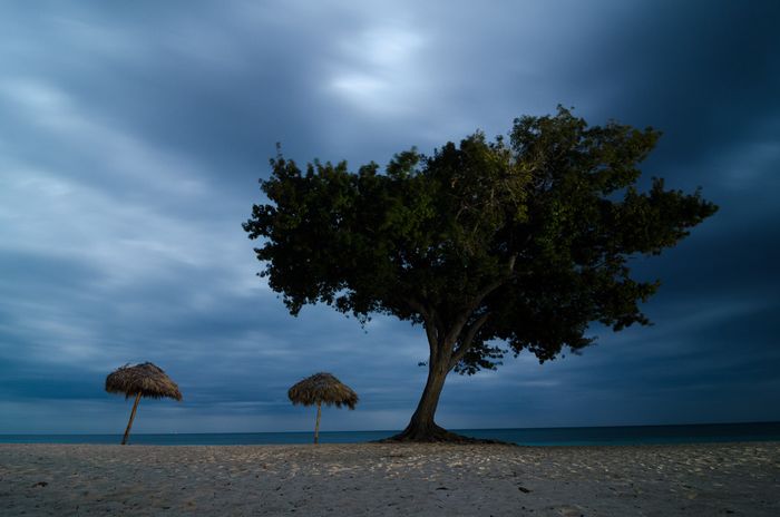Tree at night in a beach in Trinidad, Cuba. Photography tour of night photography in Cuba
