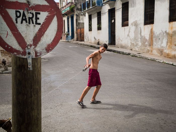 stop for a dog, a funny picture in havana´s street in a photo workshop by louis alarcon