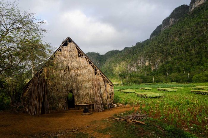 photography tour to landscapes of Viñales in cuba