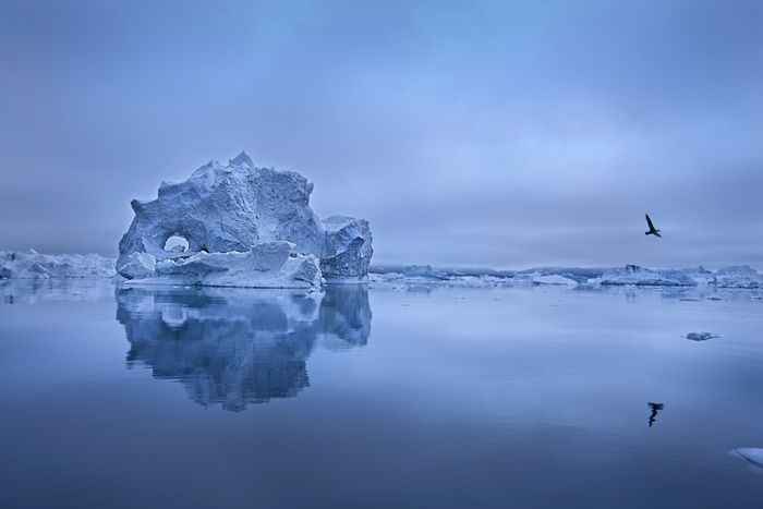 Ice Fjord. Groenlandia