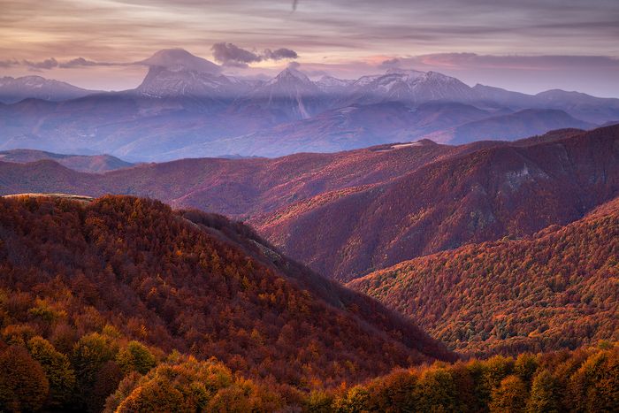 2024 Otoño · Mauro Tronto