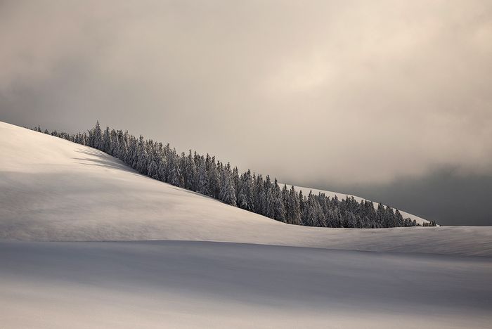 Ovidiu Lazar