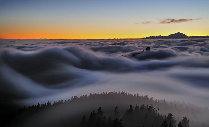 Daniel Montero · Gran Canaria Salvaje