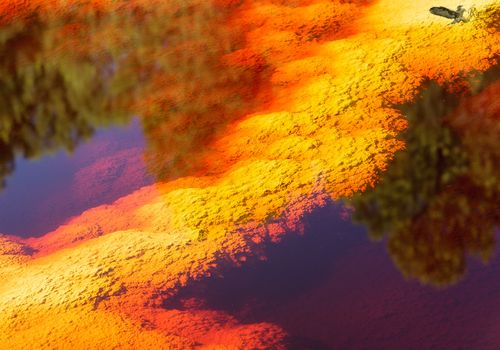 Rio-Tinto-reflejo