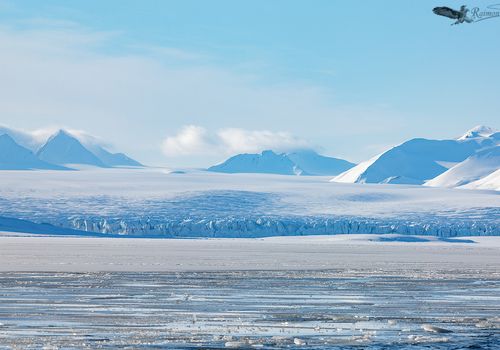 glaciar-borebreen-nieve-banquisa-artica-svalbard