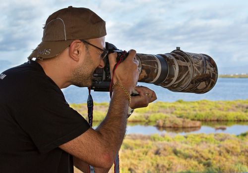 Raimon Santacatalina Fotógrafo de Naturaleza Delta Birding Delta del Ebro