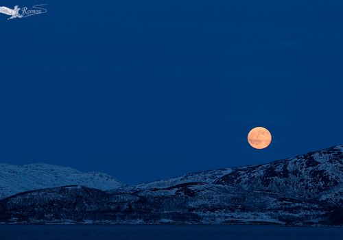 Luna-de-Nieve-Tromso-Noruega
