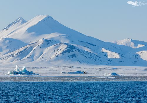 mar-banquisa-artico-svalbard
