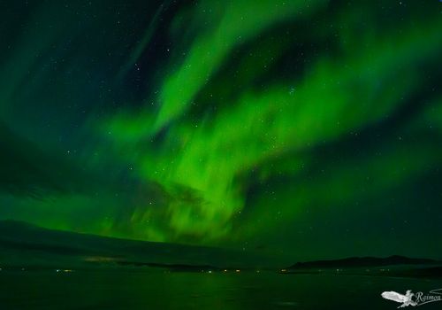aurora-boreal-islandia-Hvítserkur