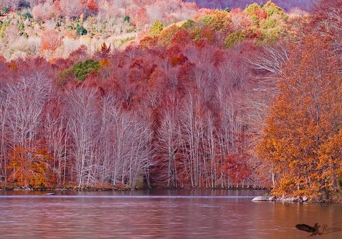 Otoño-Parque-Natural-del-Montseny-pantano-santa-fe