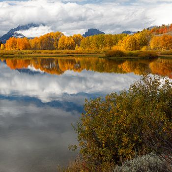 landscape, USA, united states, fall, grand teton national park
