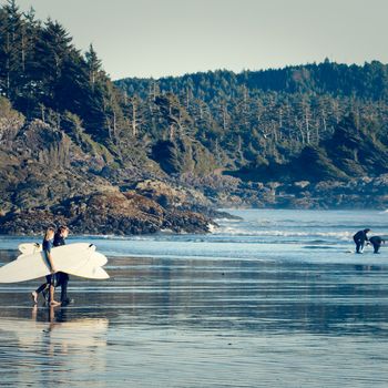 landscape, Canada, fall, Vancouver island, Toffino, Costa, Pacific ocean, British Columbia, surfers