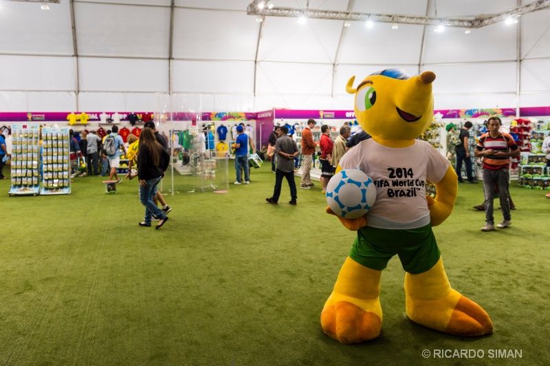 Fuleco, Mascota Mundial FIFA 2014