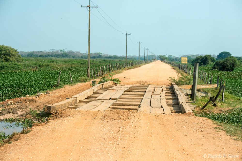Carretera y puentes para el Pantanal
