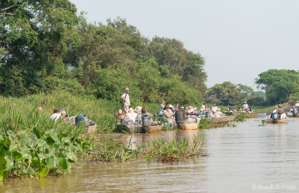 El Pantanal