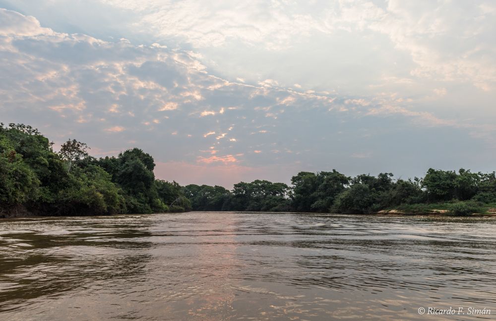 El Pantanal
