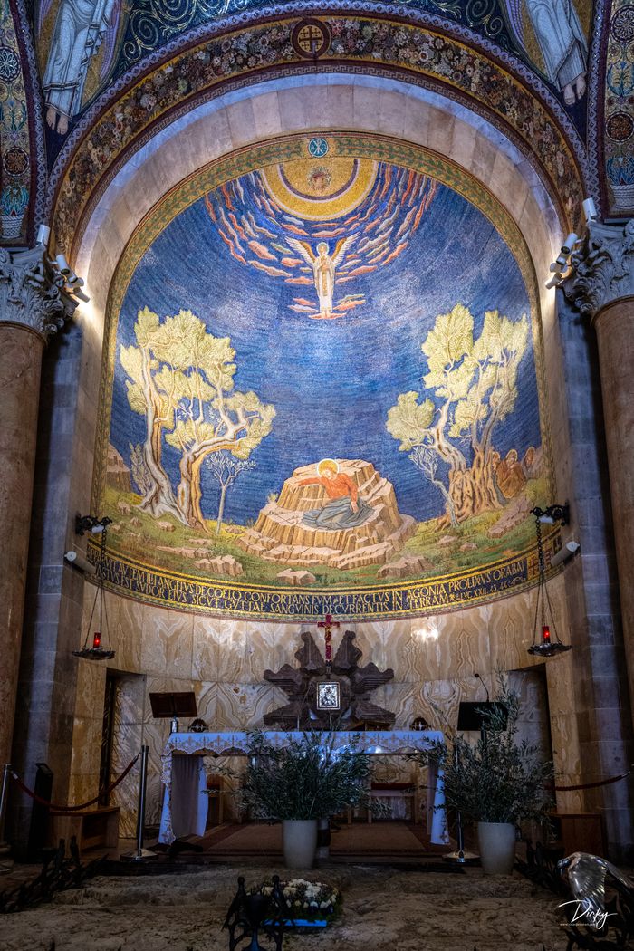 Iglesia de Getsemaní Monte de los Olivos DSC_1469.jpg