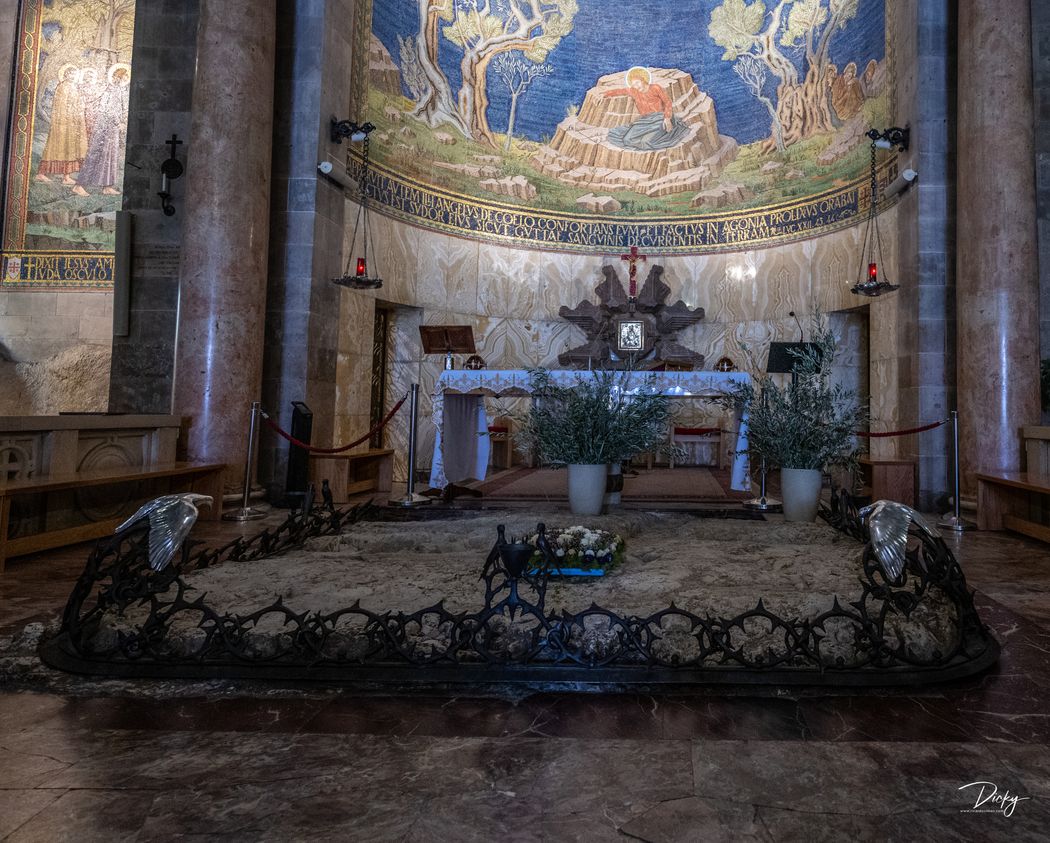 Iglesia de Getsemaní Monte de los Olivos DSC_1480.jpg