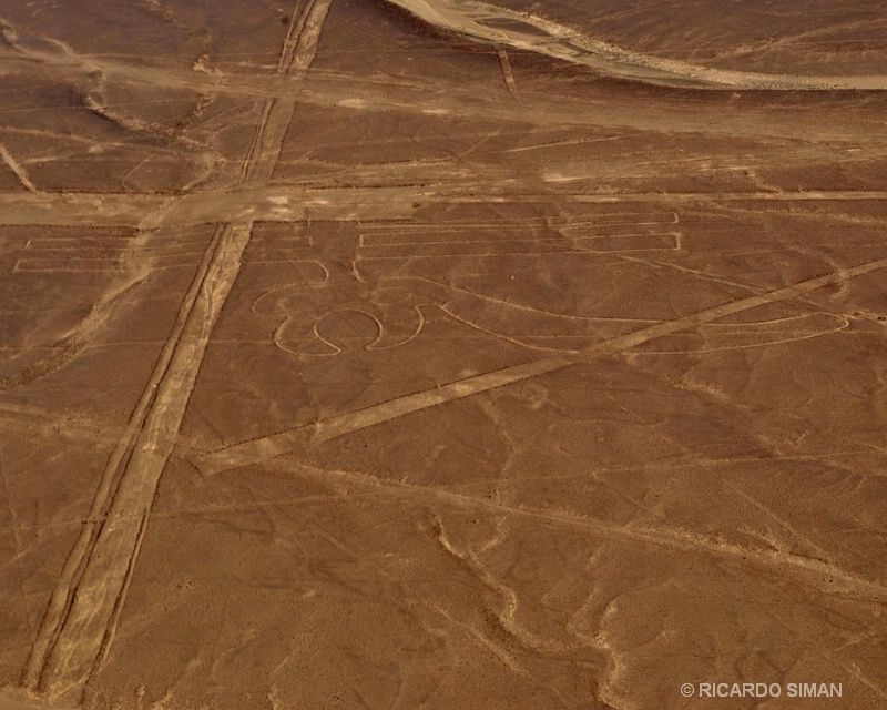 Linea de Nazca