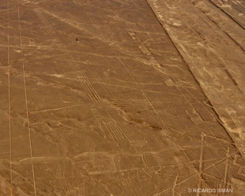 Linea de Nazca