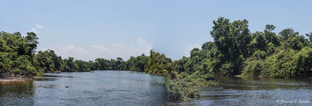 DSC_8846-Pano Panoramica Selva Amazonica,Brasil