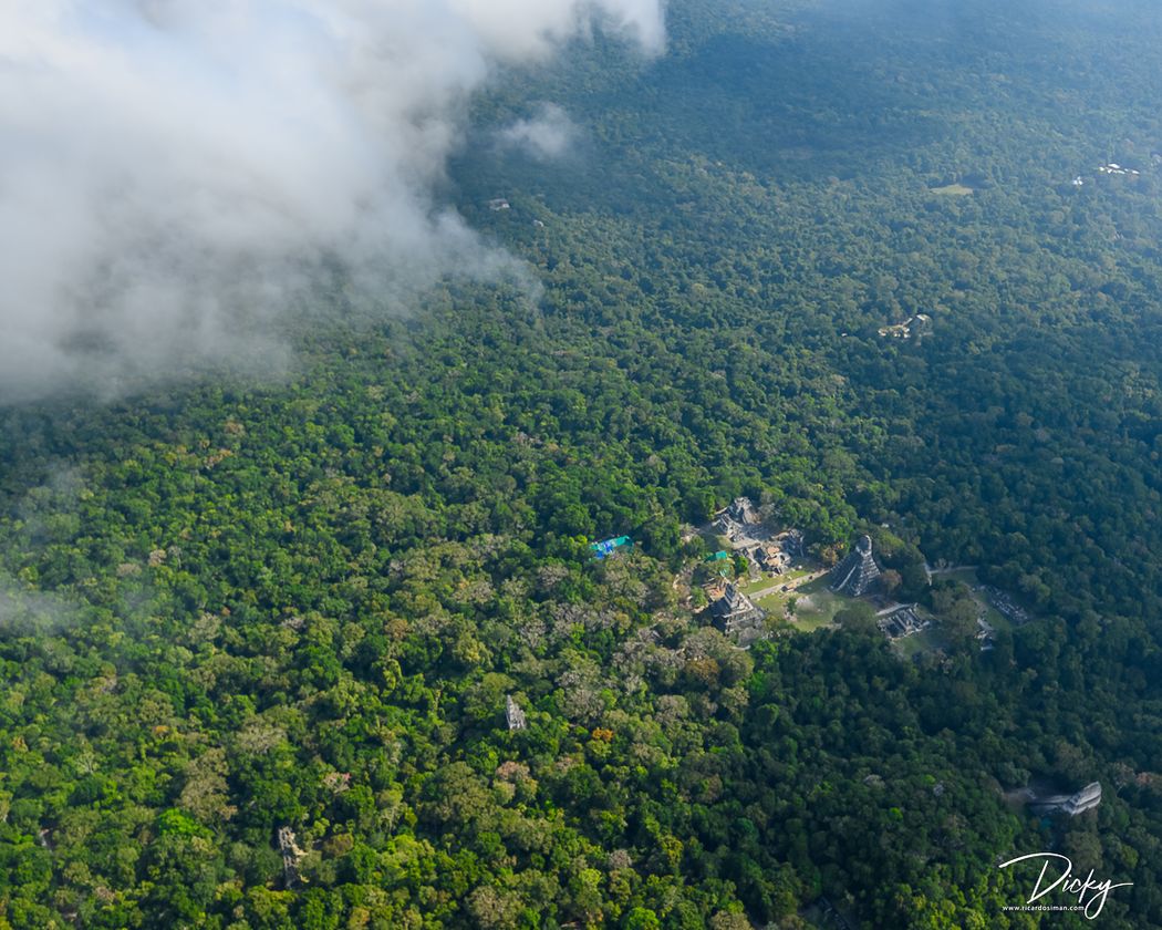 DSC_8915-2-2-Mejorado-NR Parque Nacional Tikal.jpg