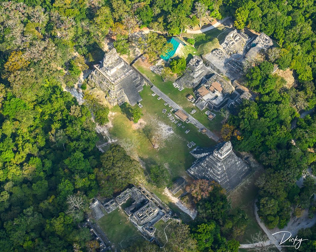 DSC_8812-2-Mejorado-NR Parque Nacional Tikal.jpg