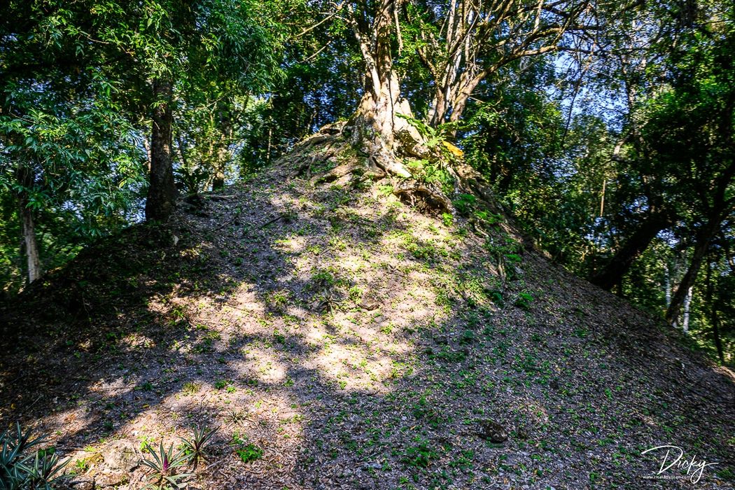 DSC_8387-Mejorado-NR Piramide Cubierta de Vegetacion, Ti