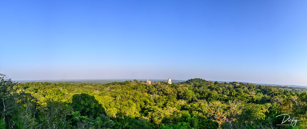 DSC_8458-Pano Tikal., tomada desde lo alto del templo IV