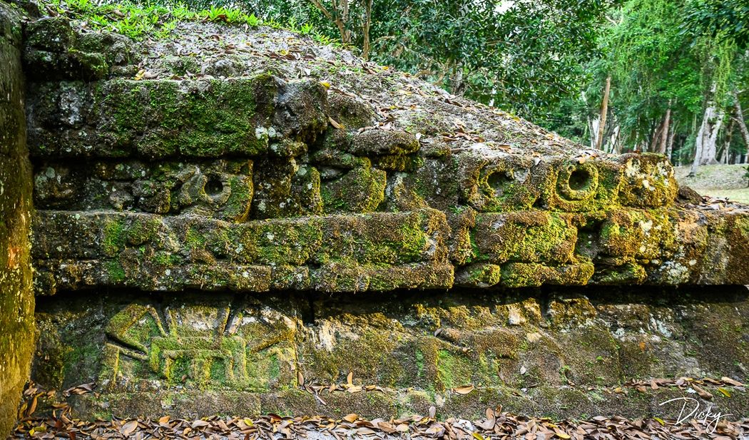 DSC_8604 Diseño Teotihuacano, en Mundo Perdido de Tikal.
