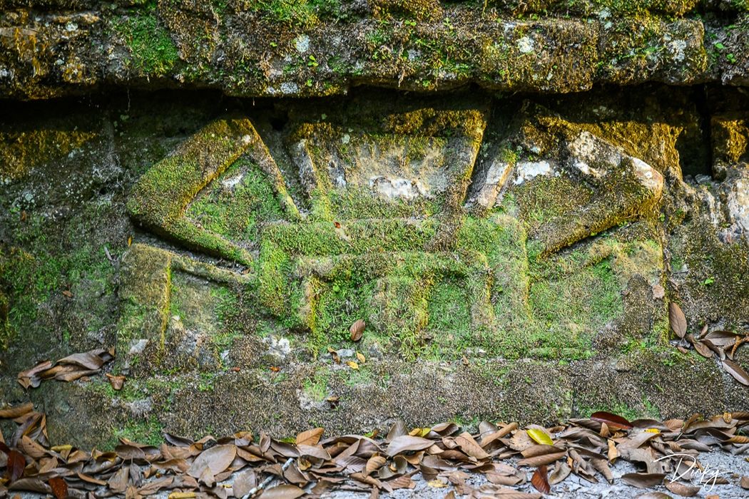 DSC_8610 Diseño Teotihuacano, en Mundo Perdido de Tikal.
