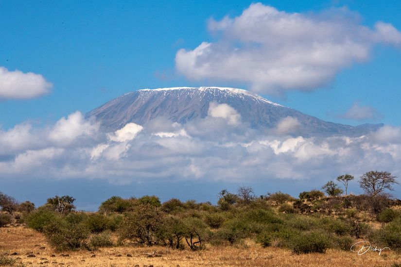 _DSC2651 Africa, Africa V, Ambosseli, Kenya, Monte Kilimanja