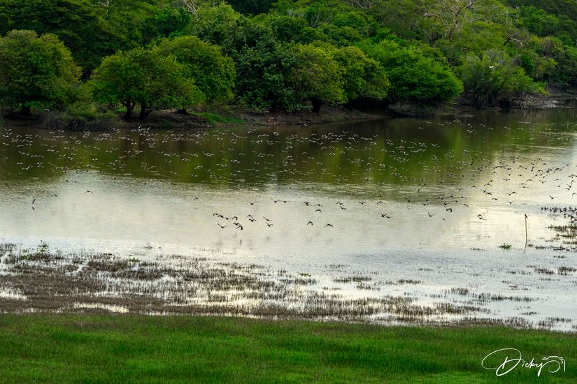 DSC_0774 Laguna El Jocotal.jpg