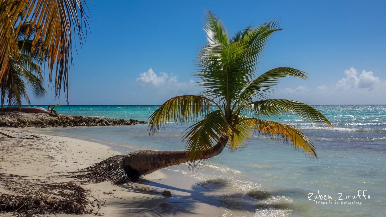 Isla Saona- República Dominicana