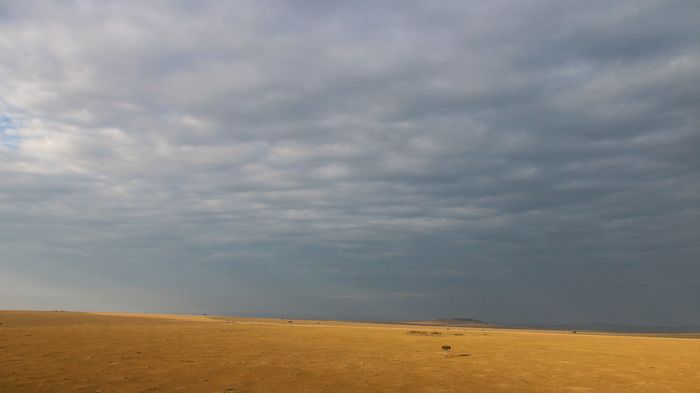 Masai Mara - Kenya - África