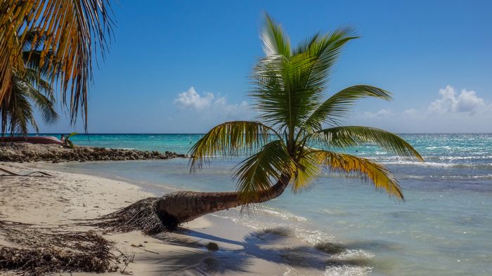 Isla Saona- República Dominicana