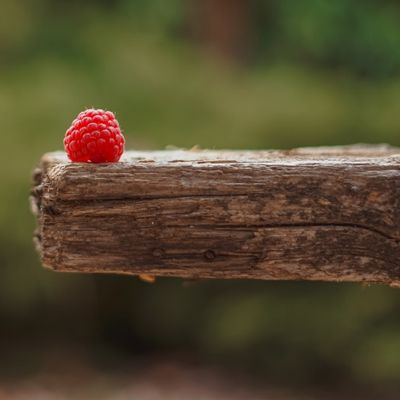 frambuesa sobre madera raspberry fondo naturaleza verde