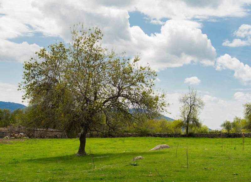 Paisajes rurales