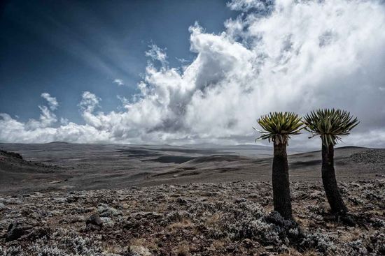 Plateau Zanetti. Etiopia 
