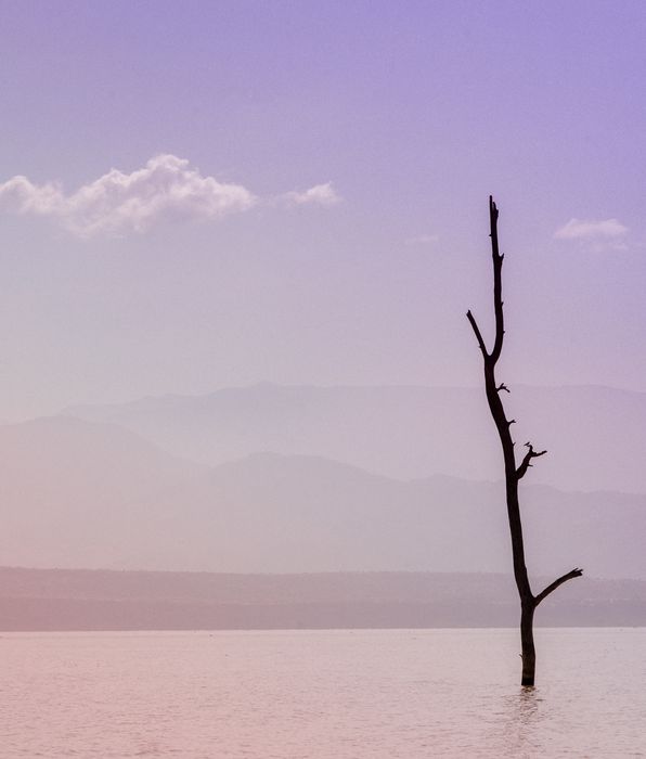 Lago Chamo. Etiopia