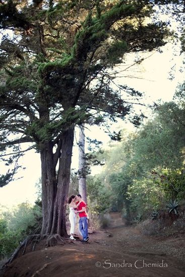 Pareja de novios abrazados debajo de un arbol