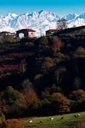 Vista desde las tierras alta de Villaviciosa, un lujo.