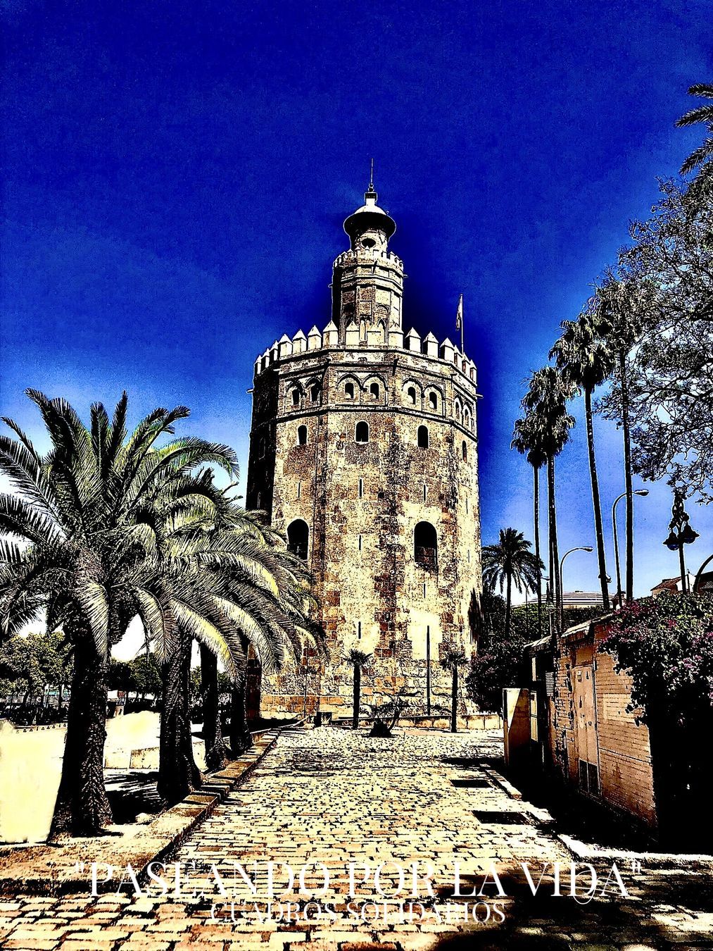 TORRE DEL ORO SEVILLA 120