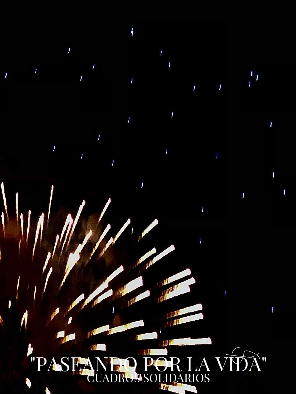 103 - FUEGOS ARTIFICIALES