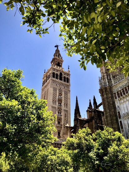 SEVILLE CATHEDRAL 78