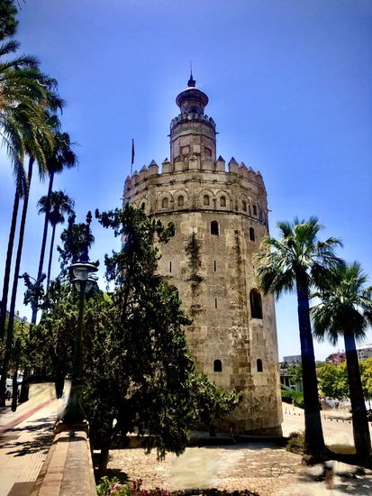 SEVILLE 119