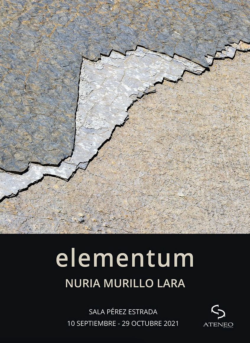 elementum  