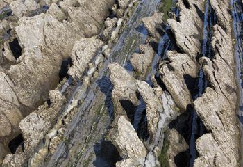 no inerte fotografías de Nuria Murillo Lara  en flysh de la Costa vasca, España