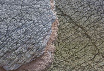 no inerte fotografías de Nuria Murillo Lara  en flysh de la Costa vasca, España